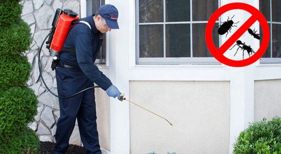 Olur Fare İlaçlama böcek ilaçlama ve haşere kontrolü — ilaclama-tr.com